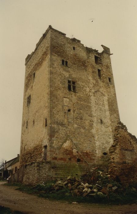 Tour du Bost : Elévations sud et est, vue générale