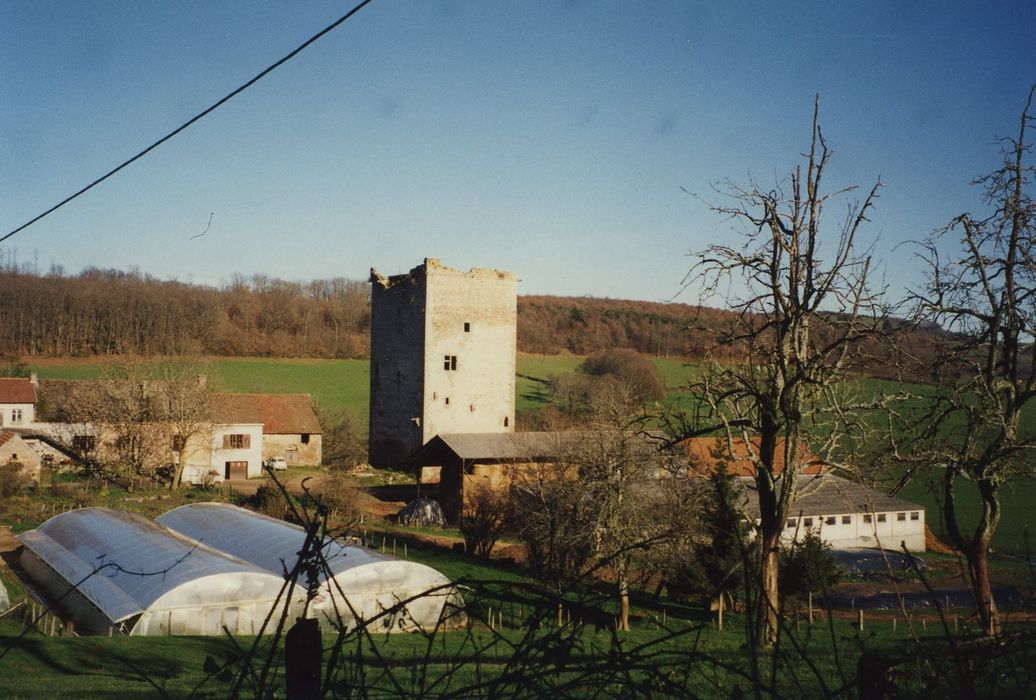 Tour du Bost : Vue générale de la tour dans son environnement depuis le Sud-Ouest