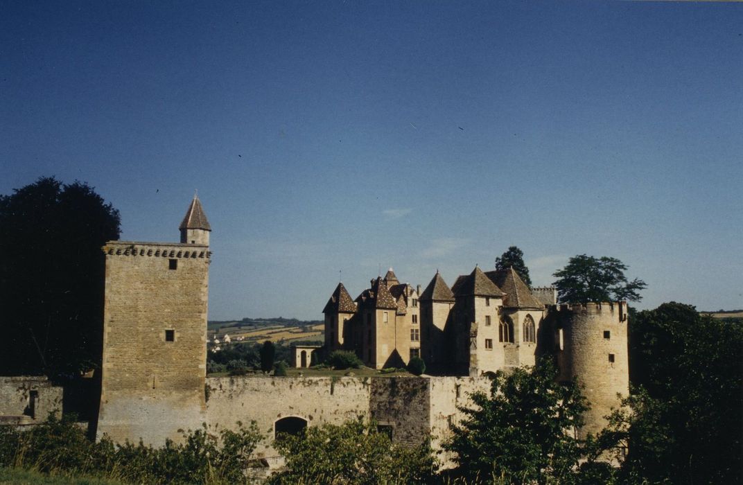 Château de Marguerite de Bourgogne : Ensemble est, vue générale