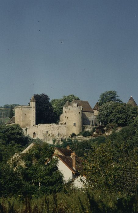 Château de Marguerite de Bourgogne : Vue générale du château dans son environnement depuis le Nord-Est