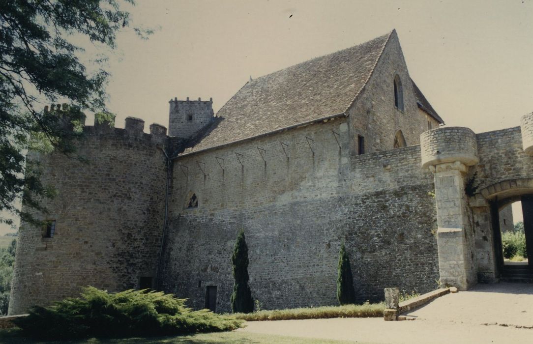 Château de Marguerite de Bourgogne : Chapelle, façade nord, vue générale