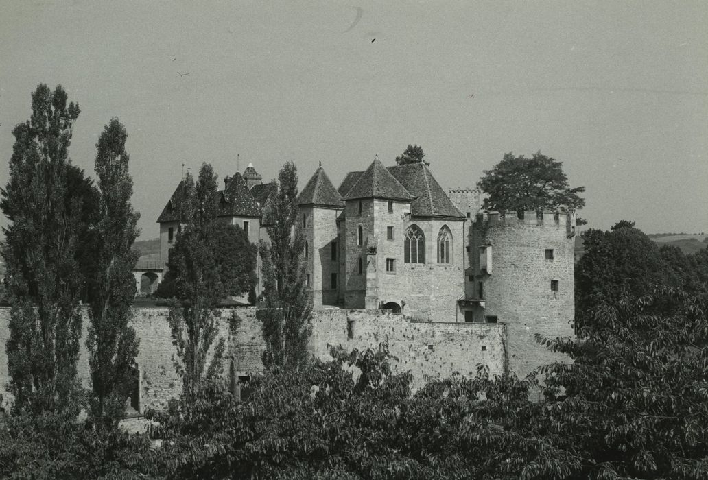 Château de Marguerite de Bourgogne : Ensemble est, vue générale