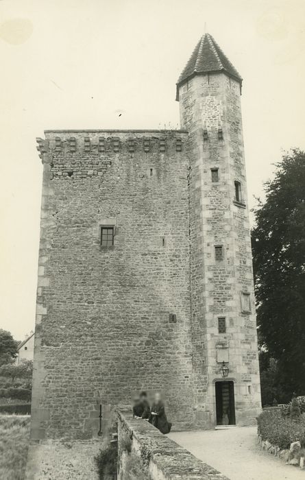 Château de Marguerite de Bourgogne : Donjon, élévation nord-est, vue générale