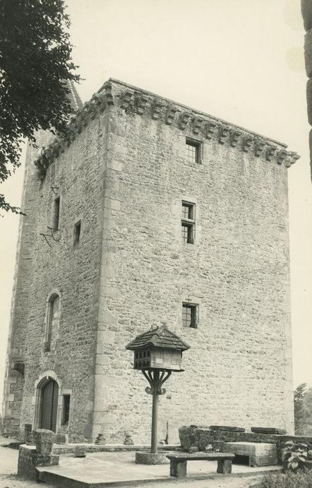 Château de Marguerite de Bourgogne : Donjon, élévations nord-ouest, vue générale