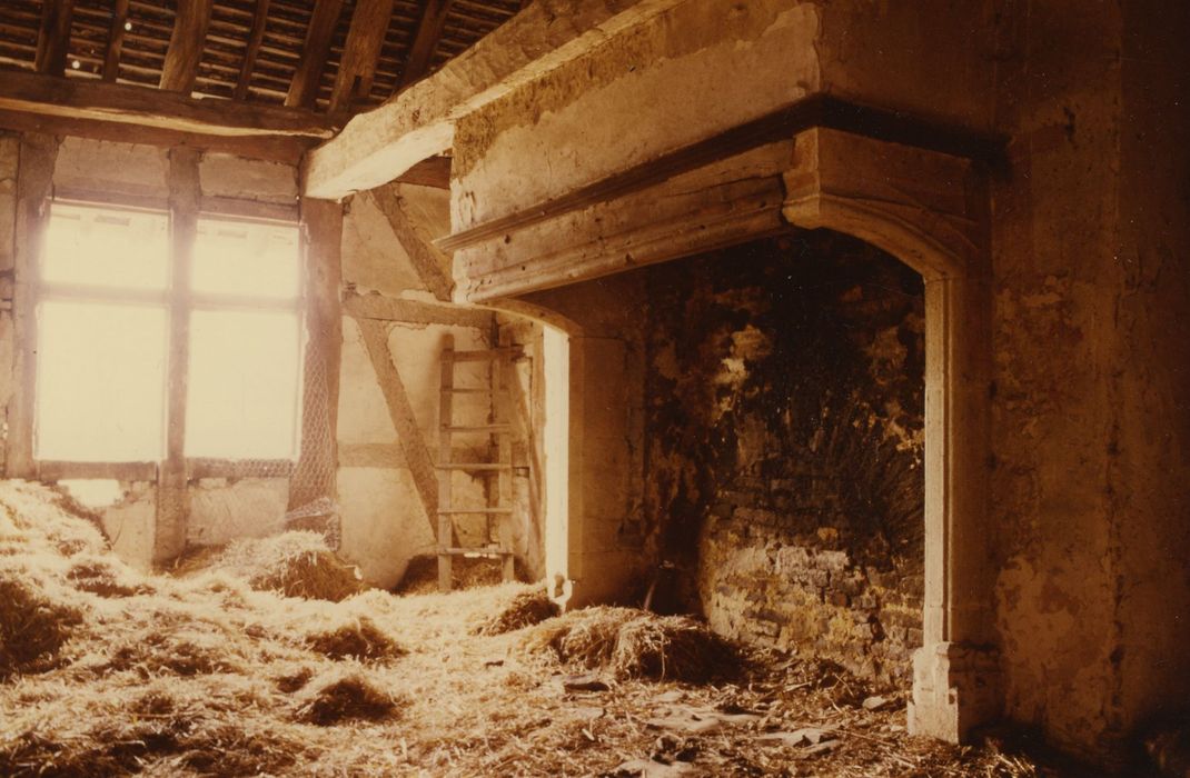 Maison : 1er étage, cheminée monumentale, vue générale