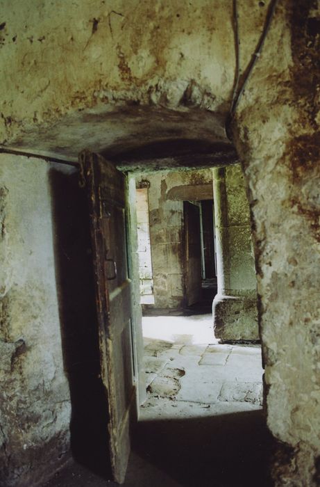 Château d'Estang : Vestibule arrière, vue partielle