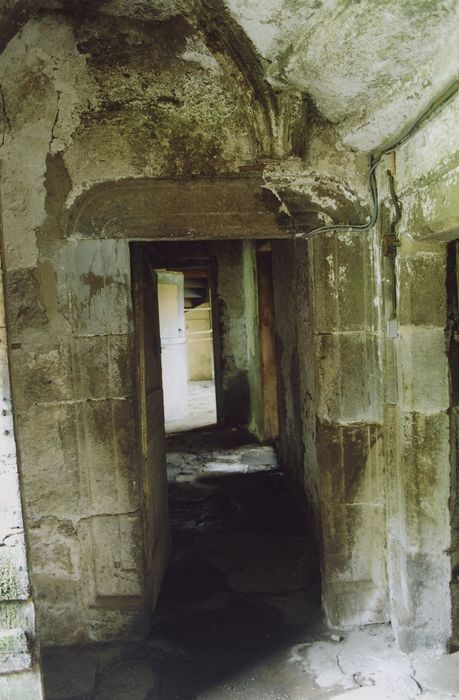 Château d'Estang : Vestibule arrière, vue partielle