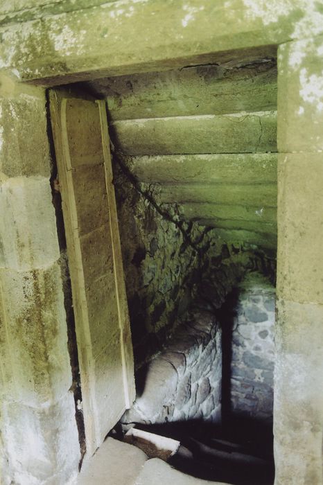 Château d'Estang : Accès à la cave, vue générale