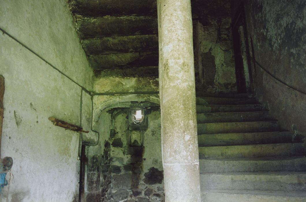 Château d'Estang : Escalier, vue partielle