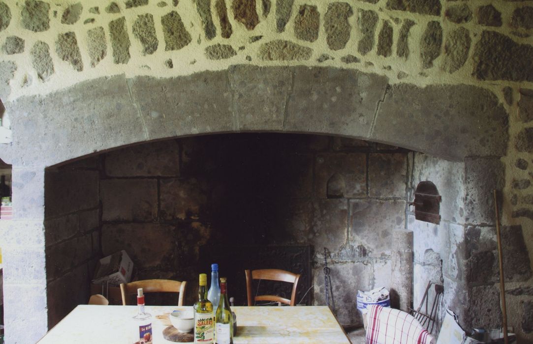 Maison Pradelle : Rez-de-chaussée, cuisine, cheminée monumentale, vue générale