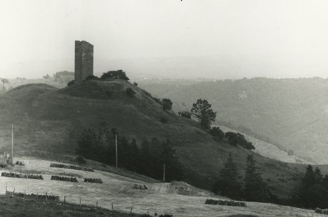 Tour de Colombine : Vue générale de la tour dans son environnement depuis le Nord-Ouest