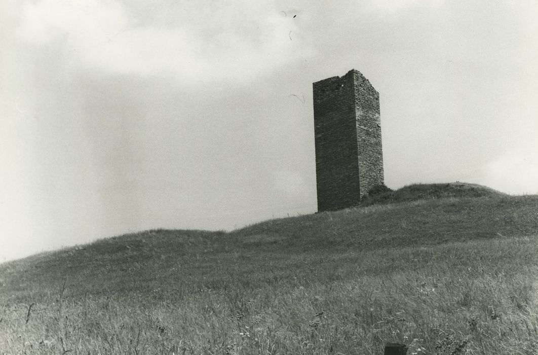 Tour de Colombine : Elévations nord et ouest, vue générale