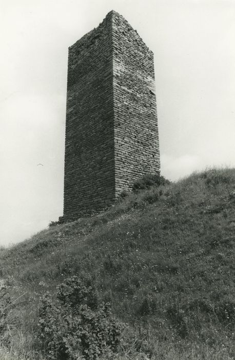 Tour de Colombine : Elévations nord et ouest, vue générale