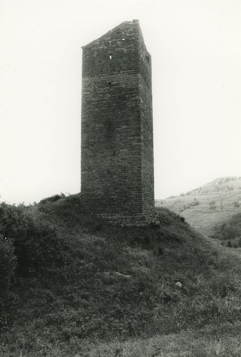 Tour de Colombine : Elévation est, vue générale