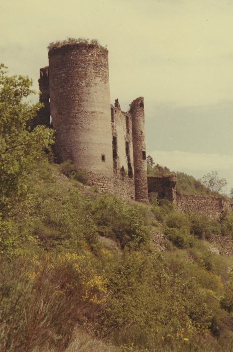 Ruines du château-fort d'Aurouze : Vue générale des ruines depuis le Sud-Ouest