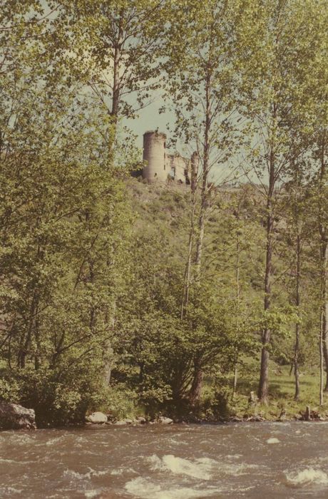 Ruines du château-fort d'Aurouze : Vue générale du château dans son environnement depuis le Sud