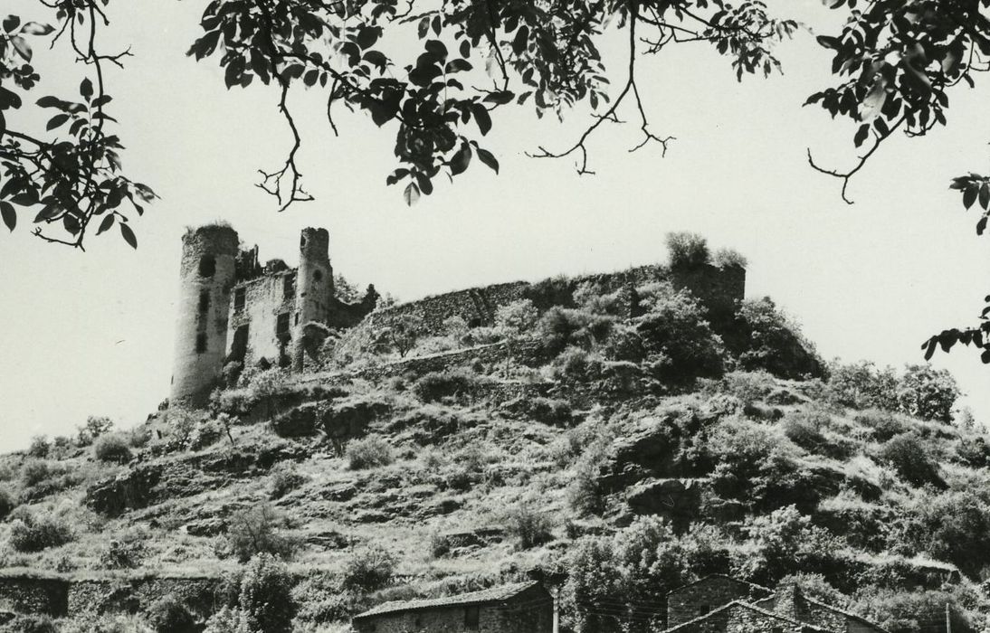 Ruines du château-fort d'Aurouze : Vue générale du château dans son environnement depuis le Sud