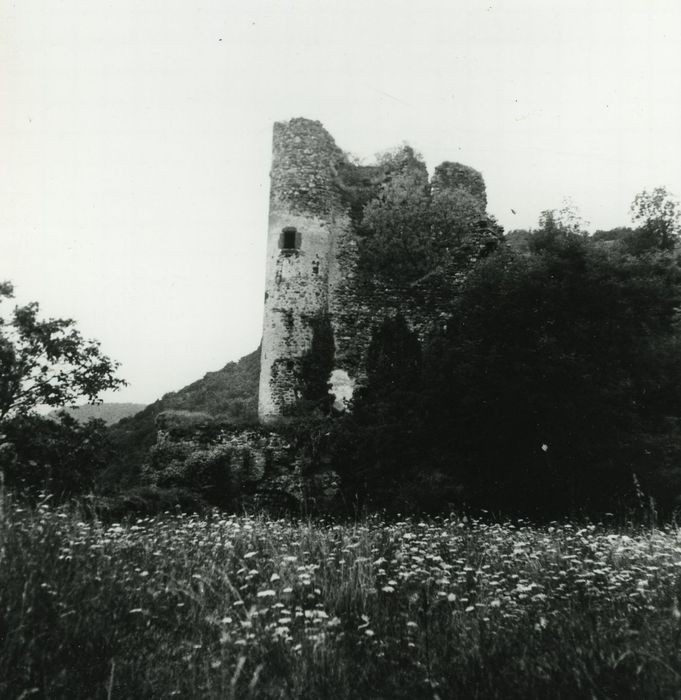 Ruines du château-fort d'Aurouze : Vue partielle des ruines depuis l’Est