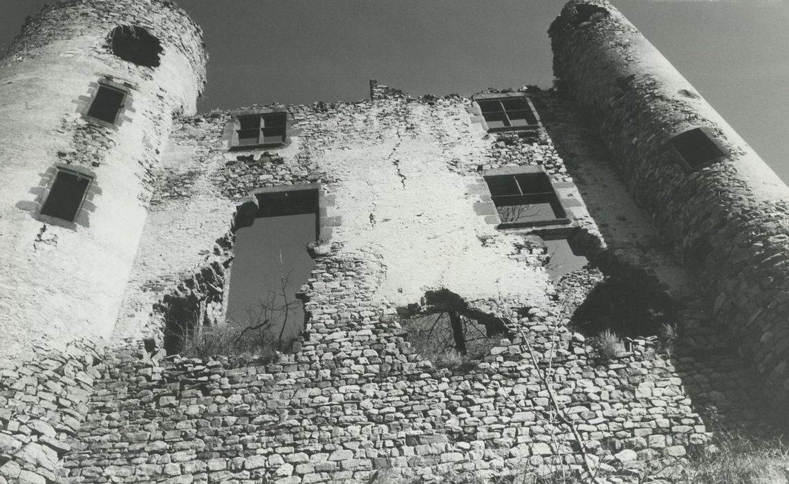 Ruines du château-fort d'Aurouze : Façade sud, vue générale