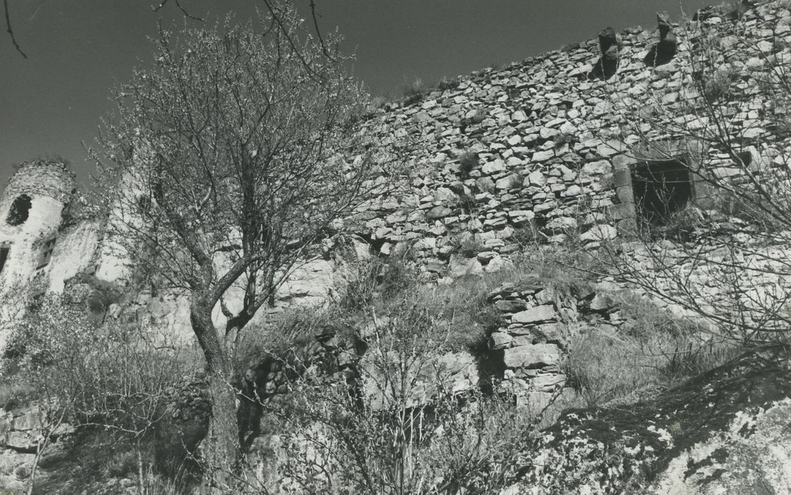 Ruines du château-fort d'Aurouze : Enceinte sud, vue partielle