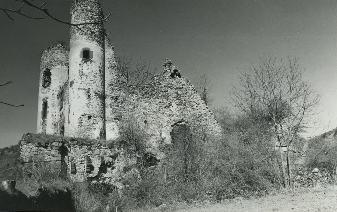 Ruines du château-fort d'Aurouze : Vue partielle des ruines depuis le Sud-Est