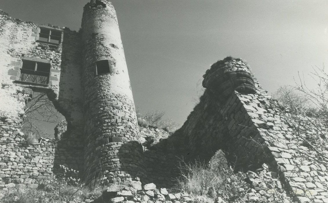 Ruines du château-fort d'Aurouze : Façade sud, vue partielle