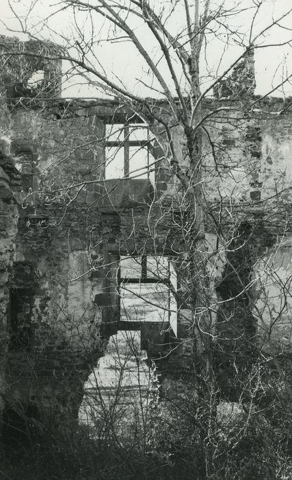 Ruines du château-fort d'Aurouze : Vue partielle des ruines, revers de la façade sud