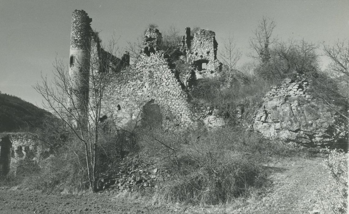 Ruines du château-fort d'Aurouze : Vue générale des ruines depuis l’Est