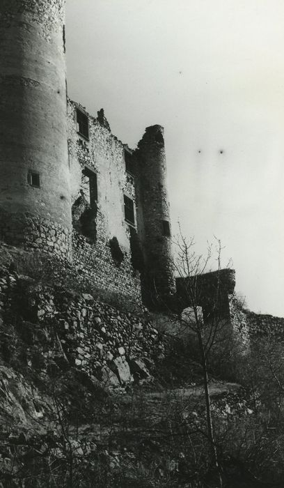 Ruines du château-fort d'Aurouze : Vue partielle des ruines depuis le Sud-Ouest