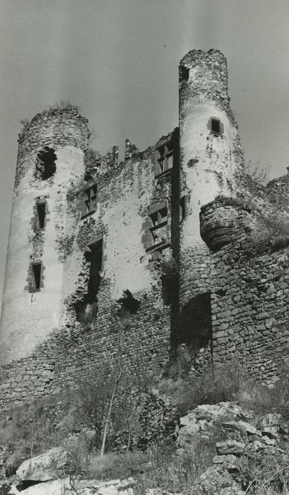 Ruines du château-fort d'Aurouze : Façade sud, vue générale