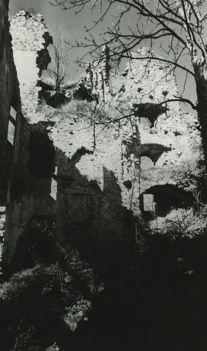 Ruines du château-fort d'Aurouze : Vue partielle des ruines, revers de la façade ouest