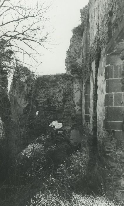 Ruines du château-fort d'Aurouze : Vue partielle des ruines, revers de la façade est