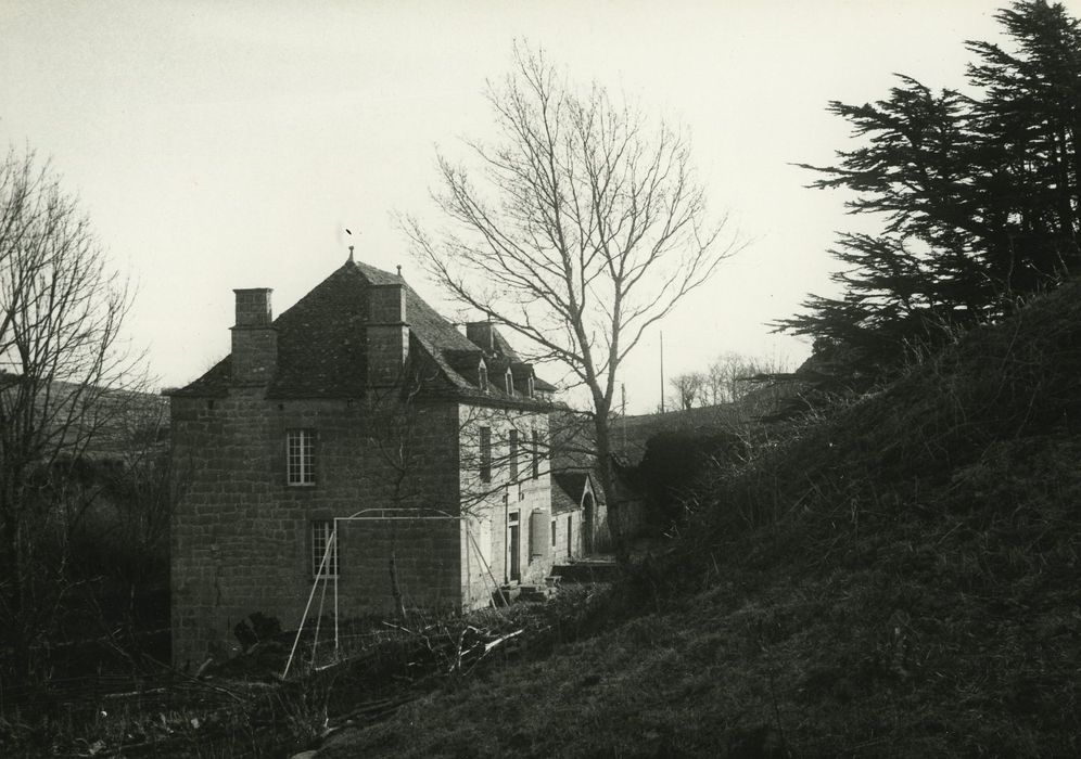 Château de Murat-la-Rabbe : Façade latérale ouest, vue générale