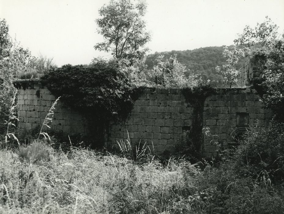 Château de Murat-la-Rabbe : Chapelle, façade latérale nord, vue générale