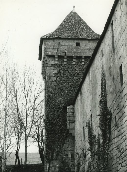 Château de Murat-la-Rabbe : Tour nord-est, vue générale