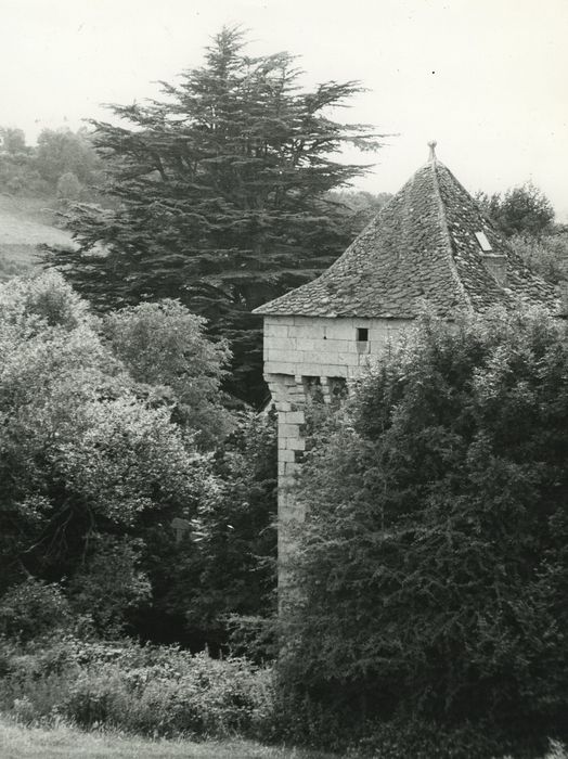 Château de Murat-la-Rabbe : Tour nord-est, vue partielle