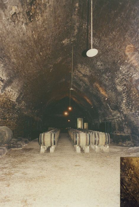 Domaine Besson : Cave, vue générale