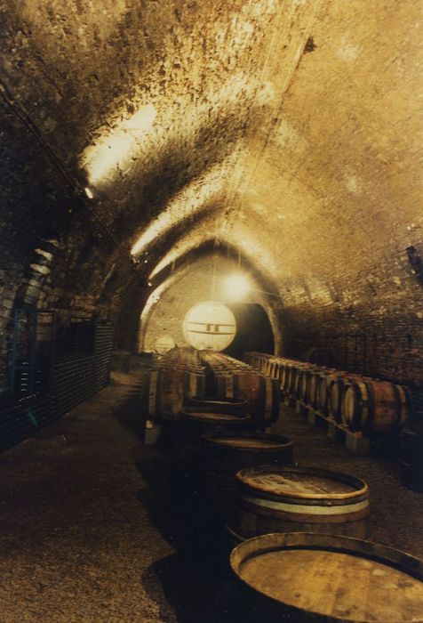 Domaine Besson : Cave, vue générale