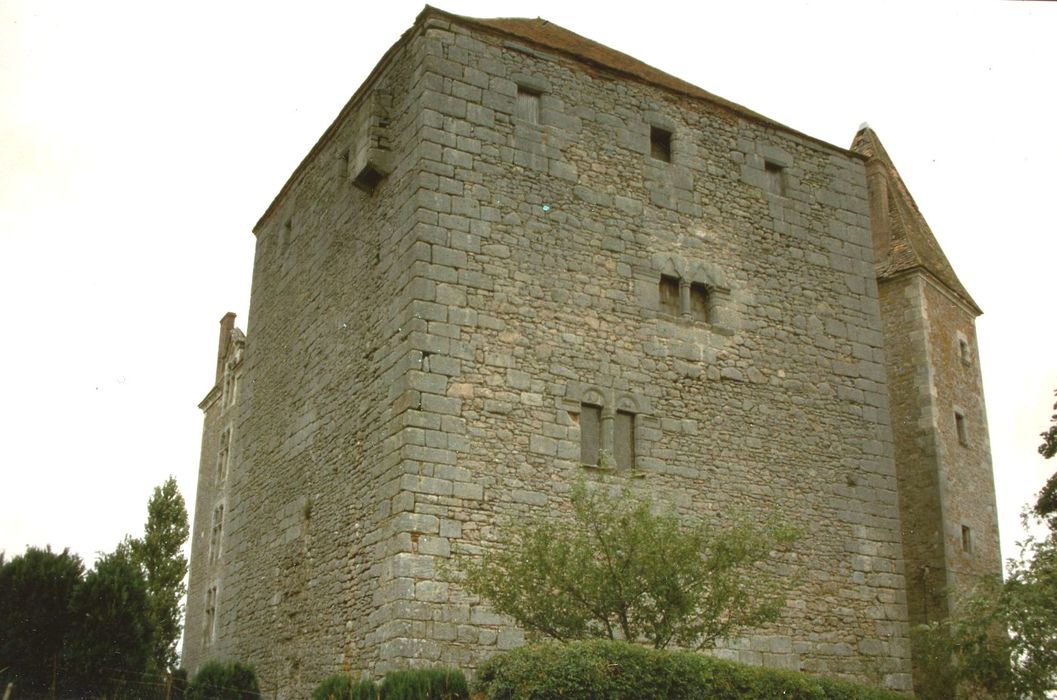 Château : Donjon, élévations sud et ouest, vue générale