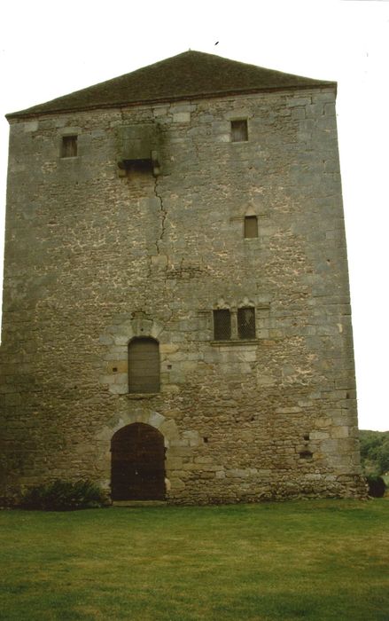 Château : Donjon, élévation nord, vue générale