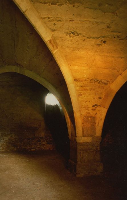 Château : Donjon, rez-de-chaussée, vue partielle