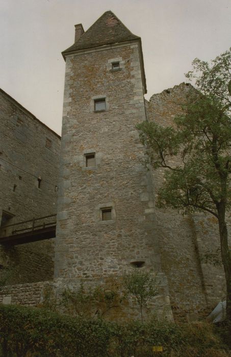 Château : Tour d’escalier, élévation sud, vue générale