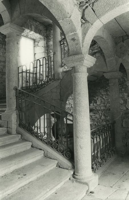 Château de Longevialle : Escalier monumental, vue partielle