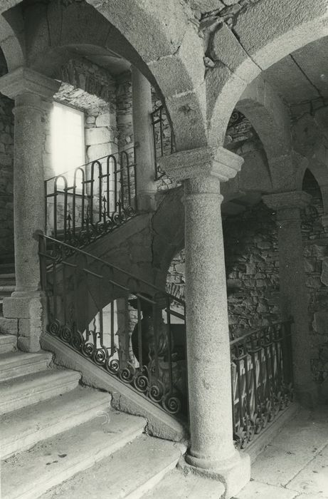 Château de Longevialle : Escalier monumental, vue partielle