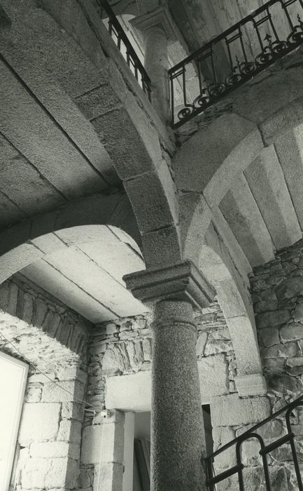 Château de Longevialle : Escalier monumental, vue partielle