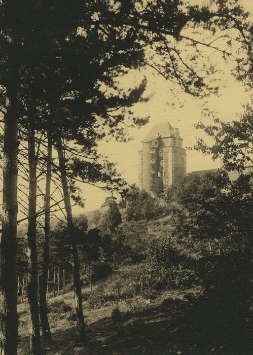 Château de Pompignac : Vue générale du château dans son environnement le Sud-Est, vue générale