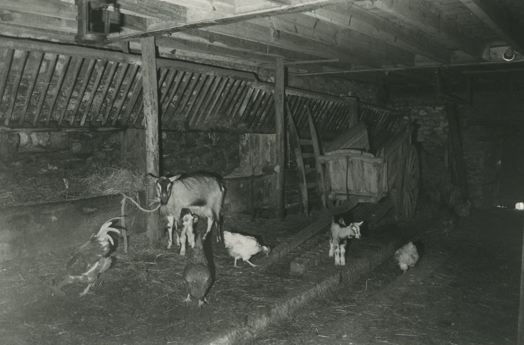 Ferme Allègre dite Maison du Paysan : Etable, vue générale