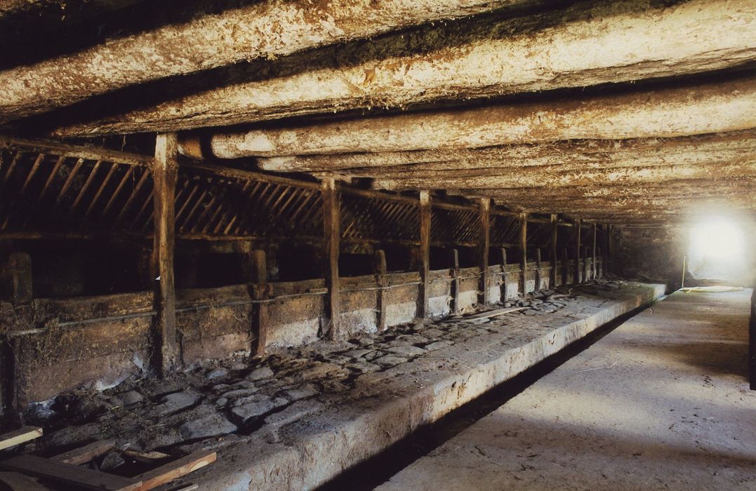 Ferme Torrette dite la Vieille Maison : Etable, vue générale