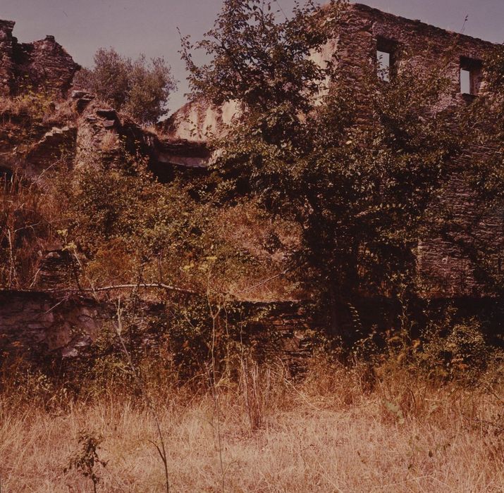 Ancien couvent Saint-Joseph : Façade est I, vue partielle des ruines