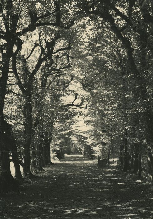 Couvent de la Visitation (ancien) : Allée du parc, vue générale